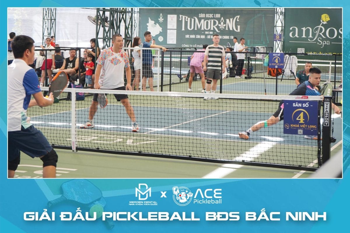 547255468 122138878706806072 29739191664106091 N